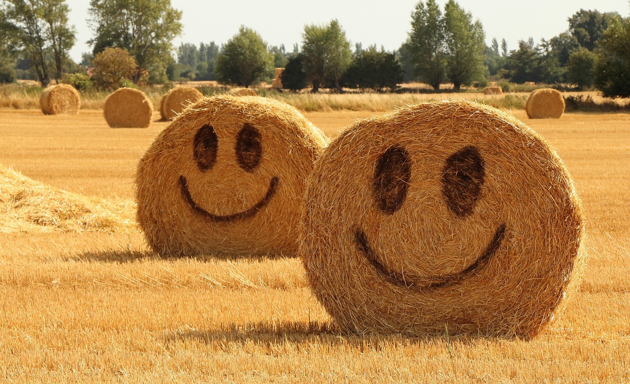 straw, halmballe, agriculture, harvest, summer, glad, smiley, yellow, nature, strohballen, mood